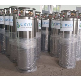 Vertical cryogenic cylinder 2