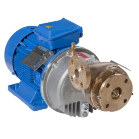 Centrifugal cryogenic pumps GBS