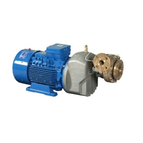 Centrifugal cryogenic pumps CBS