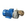 Centrifugal cryogenic pumps CBS